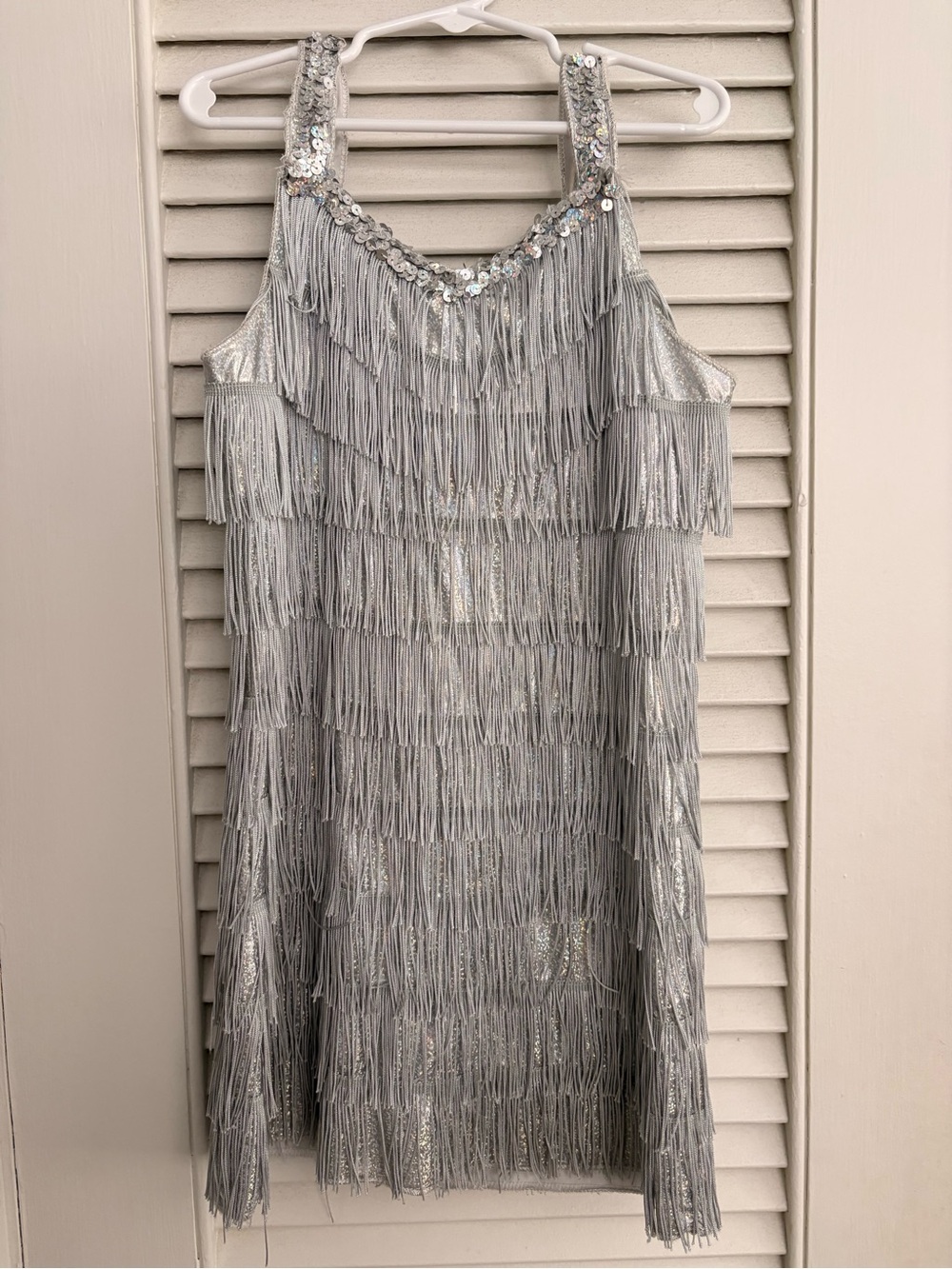Kids small 6/7 Silver Fringe Sequin Dress - Silver (dress up/halloween)